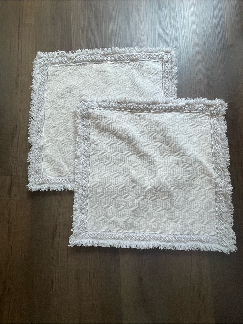 Two Anthropologie Euro Sham Covers